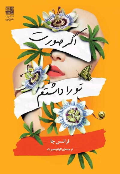 اگر من صورت تو را داشتم